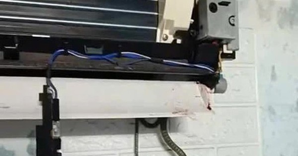 Làm thế nào để biết rắn đang chui trong điều hòa nhà mình? D