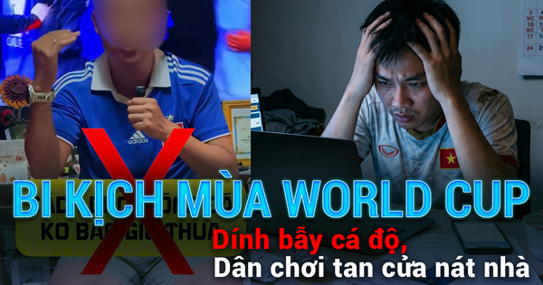Bi kịch mùa World Cup: Dính bẫy cá độ, dân chơi tan cửa nát nhà