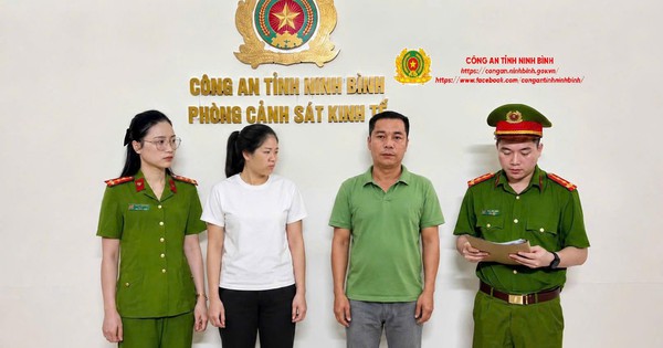 3 giám đốc công ty cây xanh ở Ninh Bình bị khởi tố: Cơ quan 