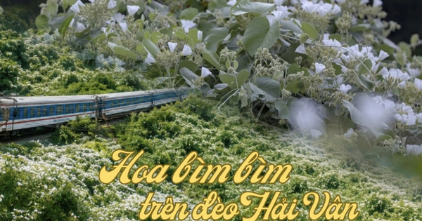 Việt Nam có cung đường đang xảy ra hiện tượng "tuyết mùa hè"
