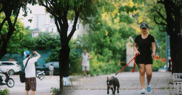 Hà Nội sáng nay thật lạ: Giữa tháng 6 mà se lạnh n