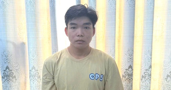 Xâm hại bé gái 5 tuổi rồi quay video lại, Lê Văn T