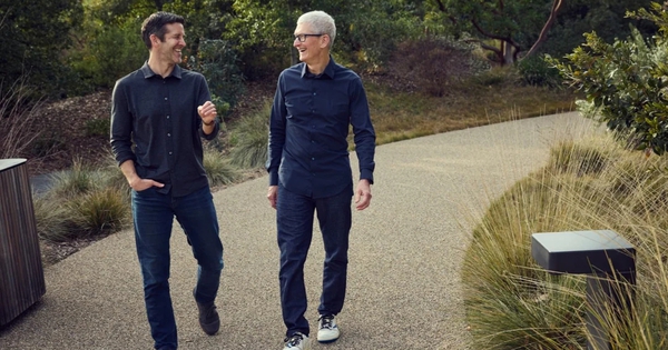 Tim Cook chỉ còn vài tháng làm CEO Apple: Canh bạc