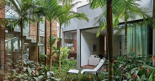 Vì sao người xưa dạy trồng "cau trước, chuối sau"?