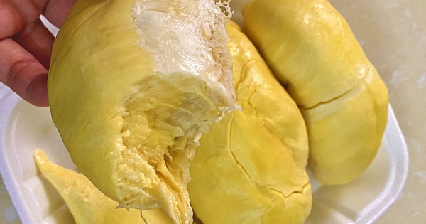 Tại sao không nên ăn sầu riêng trước những kỳ thi quan trọng