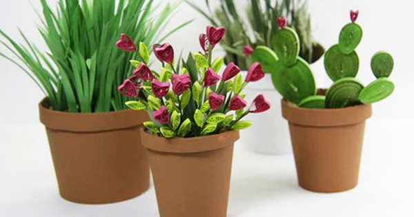 Làm chậu trồng hoa từ ly giấy trông như thật