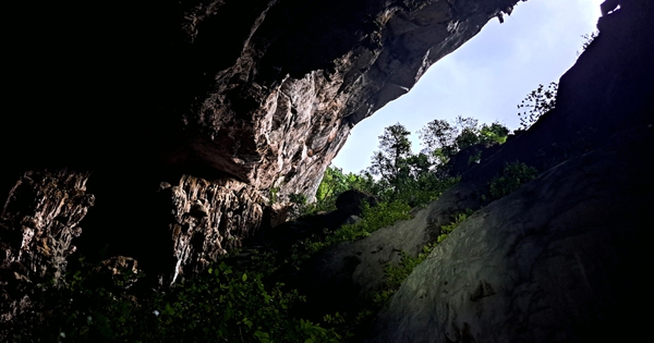 Pygmy Cave becomes “bright” under the Galaxy A53 5G lens