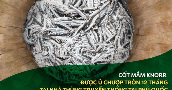 3:1:12 - Công thức vàng làm nên Nước mắm Knorr trọn vị ngon từ cá cơm than Phú Quốc