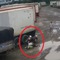 Cô gái bị sát hại ở Thủ Đức: Nghi phạm không dám xem lại hình nạn nhân