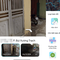 Cách để "trở về" quá khứ, gặp được người thân đã mất nhờ Google Maps
