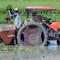 Việt Nam mang sang một thứ chưa từng có, Cuba hồi sinh những cánh đồng từng tuyệt vọng, lúa cao gần 1,8m
