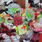 Thu nhập của ca sĩ được tặng vàng nhiều nhất Việt Nam