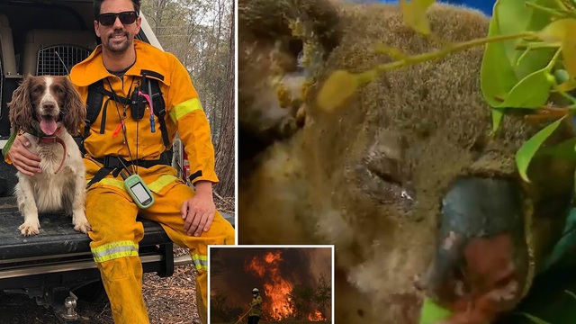 21638452 0 Image A 641575078784129 15751388166851979530847 Crop 1575138828905559475797