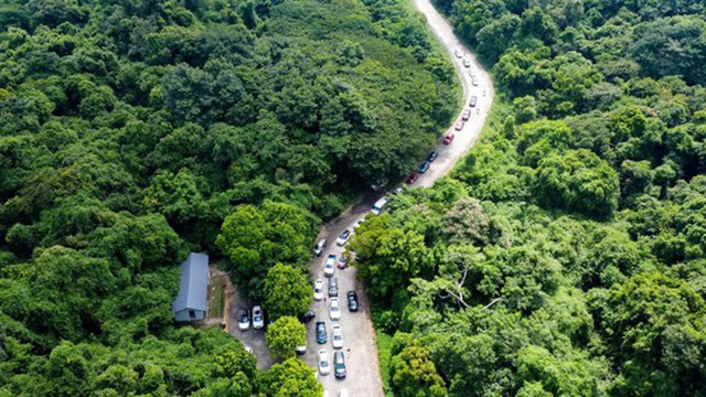 Nam du khách mất tích bí ẩn trong rừng Cúc Phương: Nội dung khắc trên vách  đá nghi của nạn nhân hé lộ điều gì?