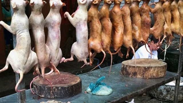 The brutal reality 10