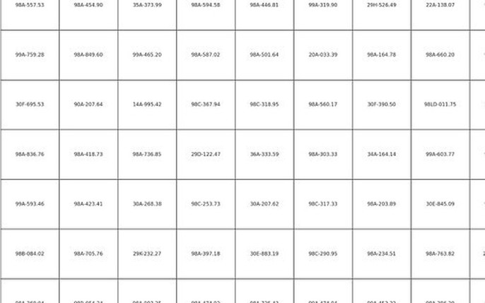 221 chủ xe máy, ô tô mang biển số sau khẩn trương nộp phạt nguội theo Nghị định 168