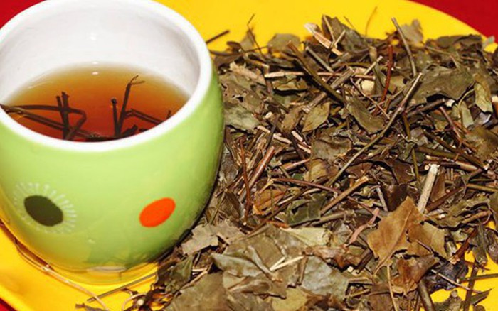 Kết quả hình ảnh cho bán lá vá»i