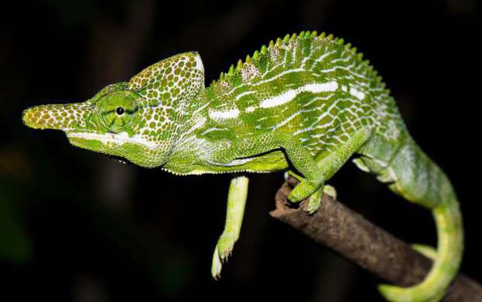 Gang bang pornosini onlayn tomosha qiling