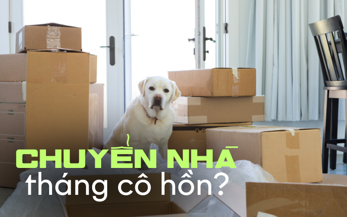 Tháng Cô Hồn Có Nên Chuyển Phòng Trọ? Lý Do Và Lời Khuyên Hữu Ích