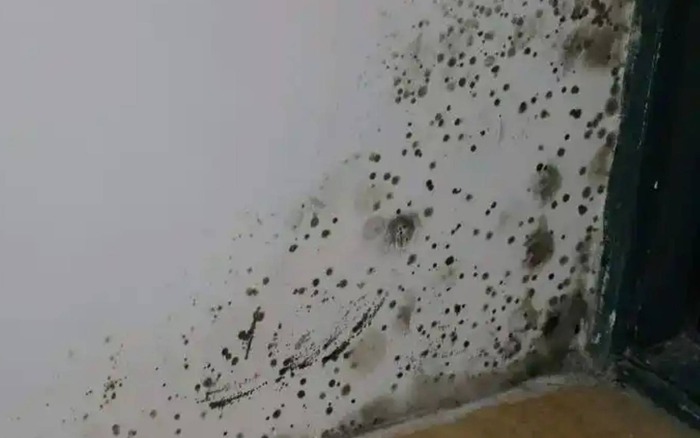 6 m&ugrave;i h&ocirc;i thối tanh nồng trong nh&agrave; cảnh b&aacute;o nguy hiểm