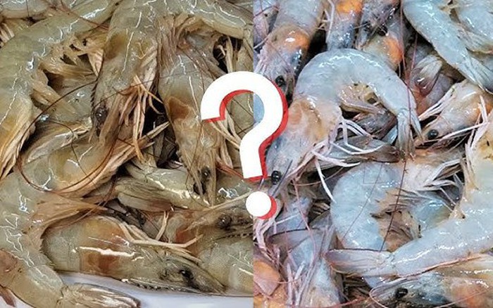 Khi mua tôm, phải “căng mắt” để tránh 5 loại “tôm hormone” độc hại này, người  đi chợ lâu năm vẫn dễ nhầm!