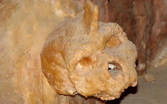 Hộp sọ người bí ẩn treo trên măng đá: Không phải loài chúng ta