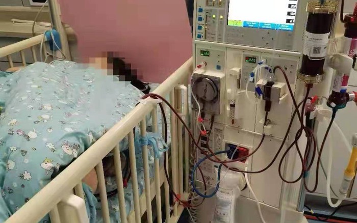 Bé gái 11 tuổi ngày nào cũng nôn mửa, người mẹ khóc nức nở: "Tôi tưởng con  bị dạ dày, không ngờ suy thận"