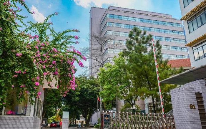 Đúng 3/8, "Harvard Việt Nam" thành lập 4 trường trực thuộc đầu tiên, mục tiêu mở tổng cộng 7 trường