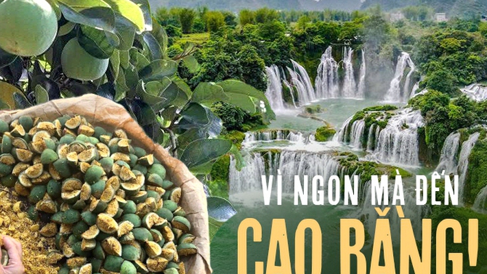 Thức quà mùa hè từ núi rừng chỉ có thể thưởng thức khi đến Cao Bằng