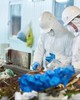 Lời giải cho bài toán sản xuất xanh, sản xuất bền vững
