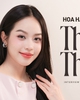Hoa hậu Thanh Thuỷ: "Tôi không phải là người bất chấp mọi thứ để đạt được mục đích"