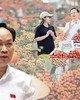 Phó Chủ tịch tỉnh Bắc Ninh livestream bán 54 tấn vải: Không làm màu, giúp được dân là làm